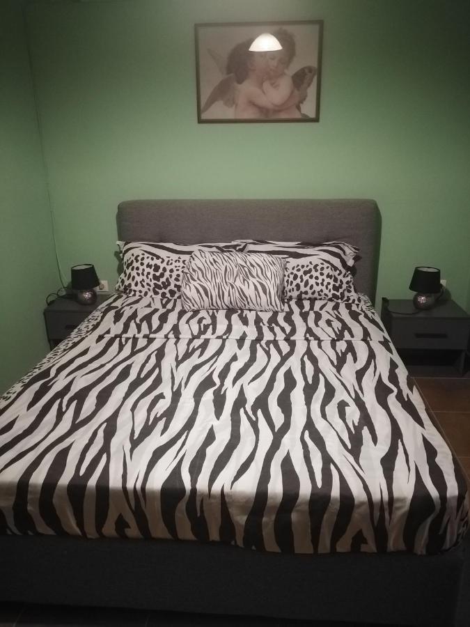 Antimachia Vicky'S Apartment Near To The Airport Ολόκληρο Διαμέρισμα المظهر الخارجي الصورة